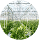 Food & Agric Tech